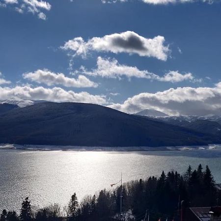 Tetka Viki Daire Mavrovo Dış mekan fotoğraf