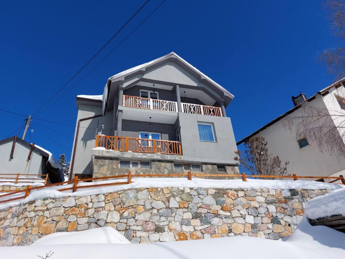 Tetka Viki Daire Mavrovo Dış mekan fotoğraf