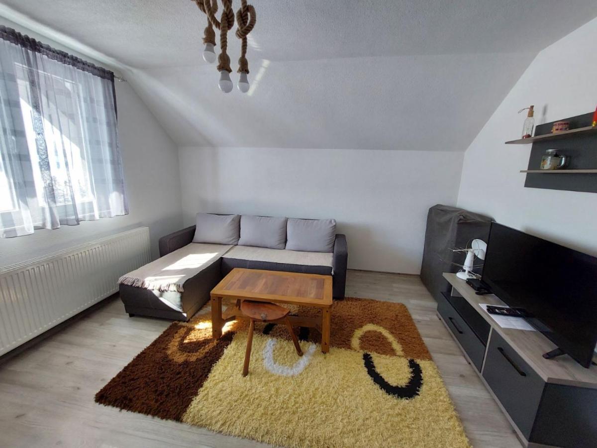 Tetka Viki Daire Mavrovo Dış mekan fotoğraf